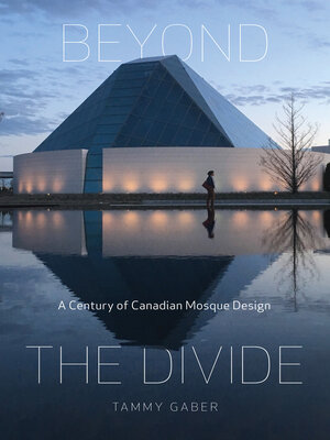cover image of Beyond the Divide